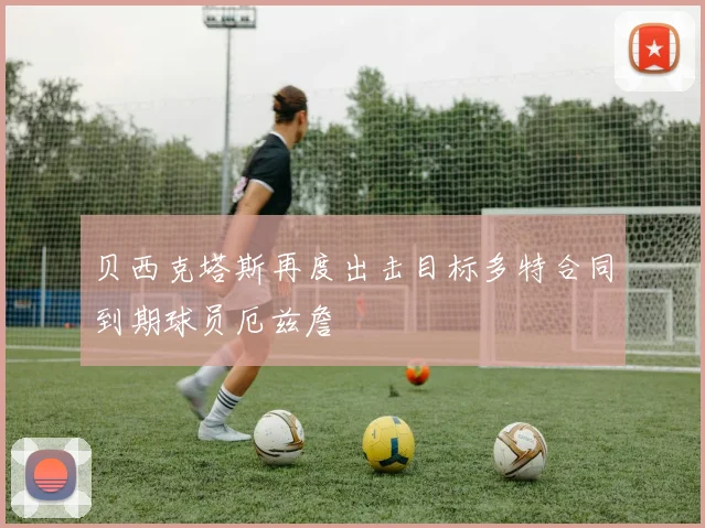 贝西克塔斯再度出击目标多特合同到期球员厄兹詹